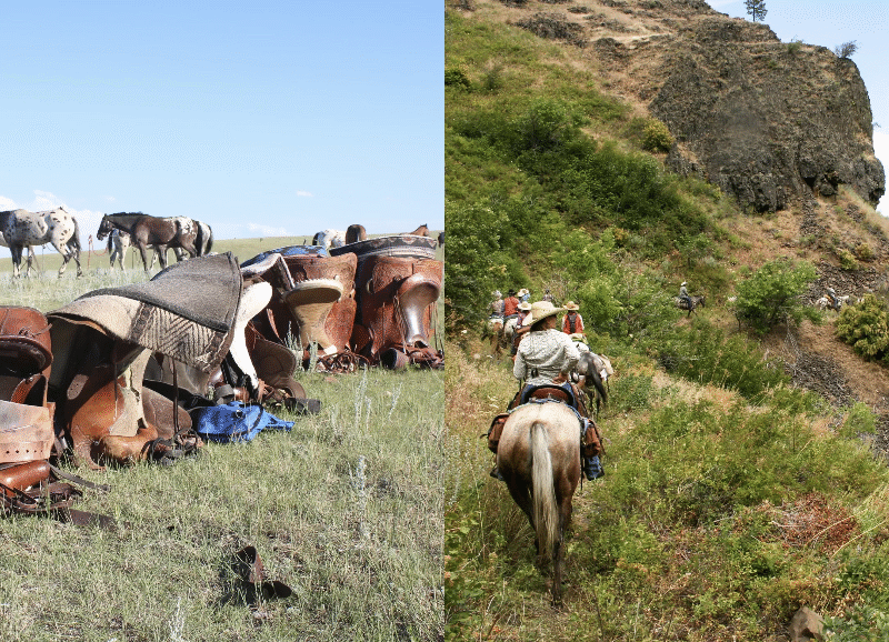 Chief Joseph Trail Ride: